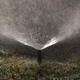 Illustration for article titled California Is Rolling Back Its Water Restrictions